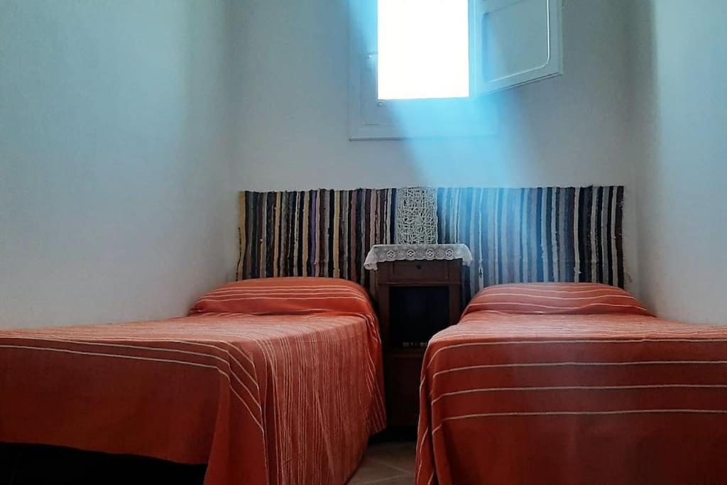 Cammini Di Sale Casa Vacanze Tra Le Saline Torre Nubia Esterno foto