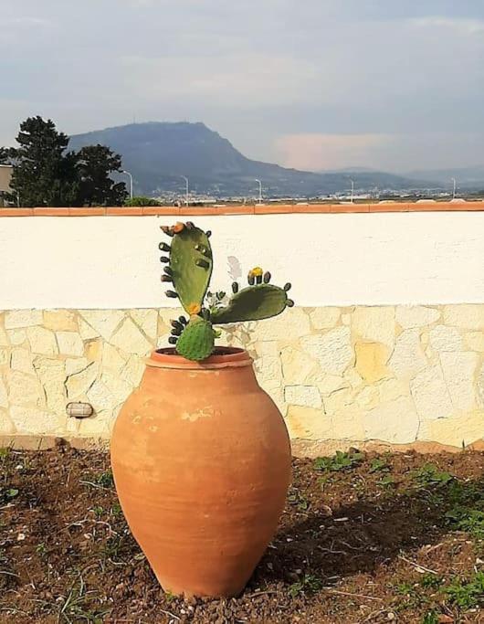 Cammini Di Sale Casa Vacanze Tra Le Saline Torre Nubia Esterno foto